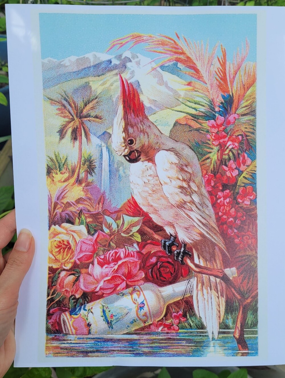 Decorative Cockatoo Bird Art Print - Cream & Pink
